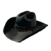 christmas_2015_hat1.png
